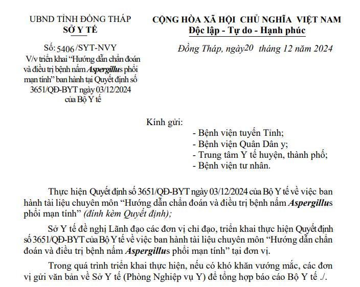 Hướng dẫn chẩn đoán và điều trị bệnh nấm Aspergillus phổi mạn tính